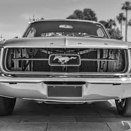 MontanaDave (Dave, MT)